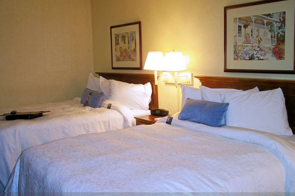 Hampton Inn Salem East - Electric Road Zimmer foto